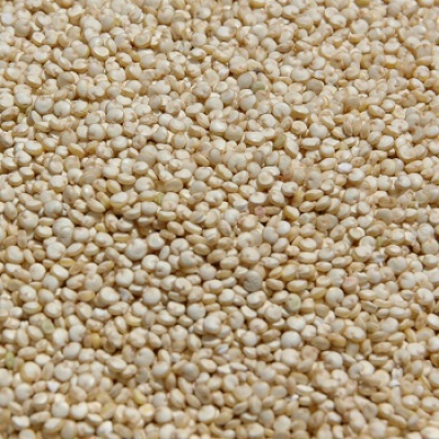 Quinoa biała