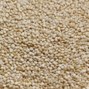 Quinoa biała - komosa ryżowa 600 kg