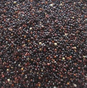 Quinoa czarna - komosa ryżowa 400 kg